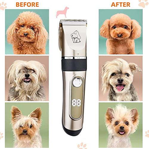 KAEFUYS Schermaschine Hund - IPX7 Wasserdichte Hundeschermaschine Professionelle Tierhaarschneidemaschine für Hunde & Katzen mit LCD-Anzeige