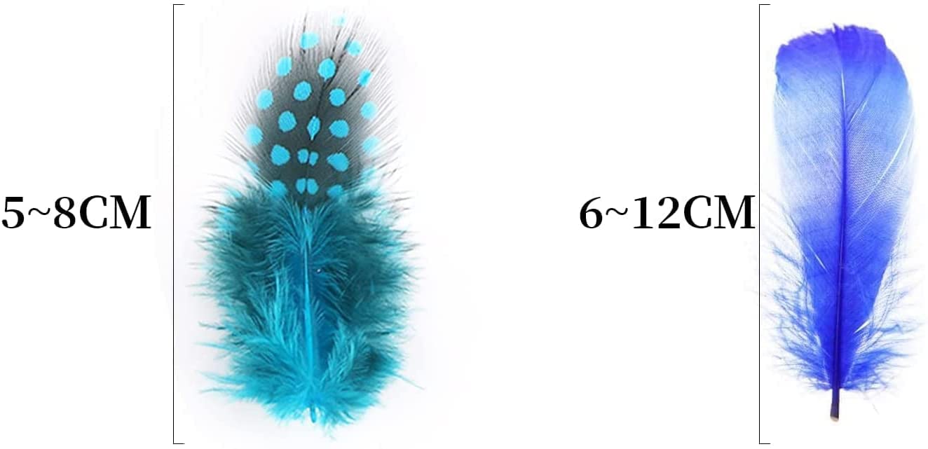 Amazon | 天然 羽根 ガチョウ ホロホロ鳥 羽 フェザー 鳥の羽根