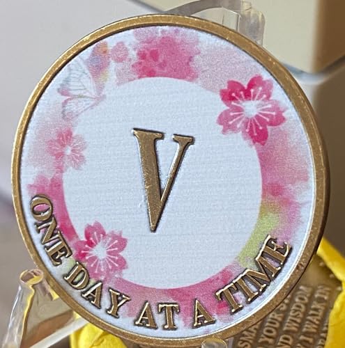 Medalhão de sobriedade de flor de lótus rosa borboleta de 5 anos One Day at A Time AA NA Chip …