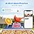 Solareye Bird Feeder with Camera, 2K HD Color Night View, AI Bird Identification, Auto Capture,Motion Detection Alerts, Smart Bird Feeder for Outdoors, Present for Bird Lover(Solar Panel Included)