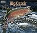 Big Catch 2019 Calendar: Bonus Free Downlod