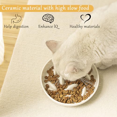 Antischlingnapf Katze, Cat Bowl 2 Stück Anti Schling Napf Katze aus Melamin, Slow Feeder, rutschfest Durable and Shatterproof für Katzen und kleine Hunde