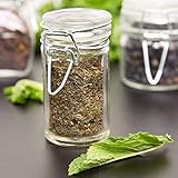 Charmed Cylindrical Clear Glass Spice canning Jar, Set of 24, 2.5 oz