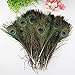 SKL 100pcs Plumas de Pavo Real, para la decoración del hogar DIY...