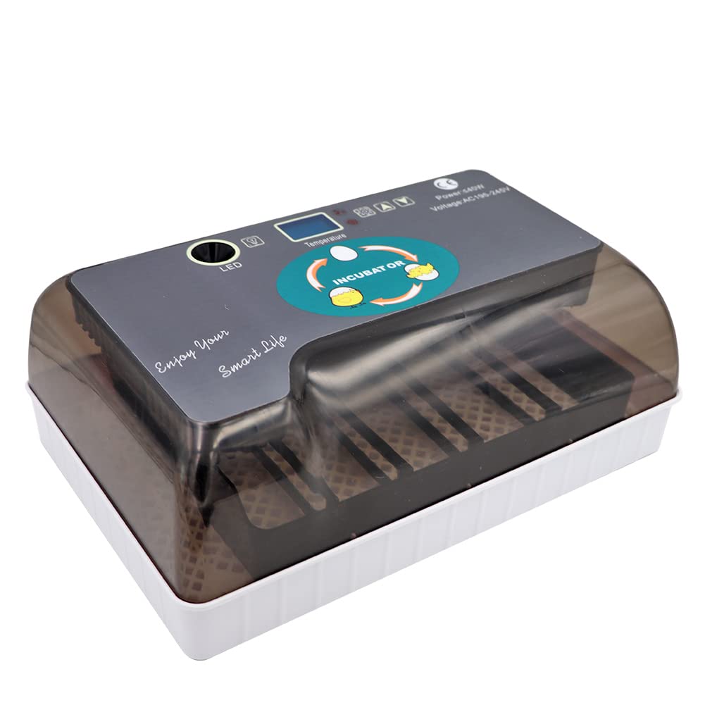 MUALROUS12 Incubadora Automática Digital Completa para Huevos de Pollo, Aves de Corral con Control Automático de Temperatura