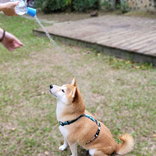 Woofy Woofy Cabeça de chuveiro portátil para cães, acessório de garrafa para pulverizador de água, p