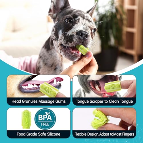 Image of Sonic Tooth Cleaner for Dogs,Dog Dental Tools to Remove Plaque and Tartar,Dog Teeth Cleaning Kit 5 Clean Options Available with LED Light - Black