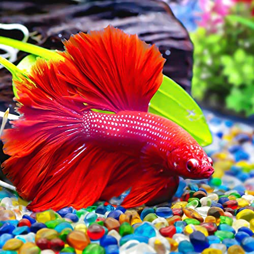 Image of Keedolla 2 lbs /900g Fish Tank Rocks Beads Aquarium, Clear Glass Pebbles Stones Gravel for Vases Fillers, Garden, Aquarium, Betta Fish Turtle Tank, Succulent Plants Decor - Sea Blue