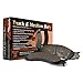 Raybestos Brake PAD Set