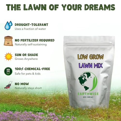 Grass Seed Blends For Low Maintenance And Minimal Mowing
