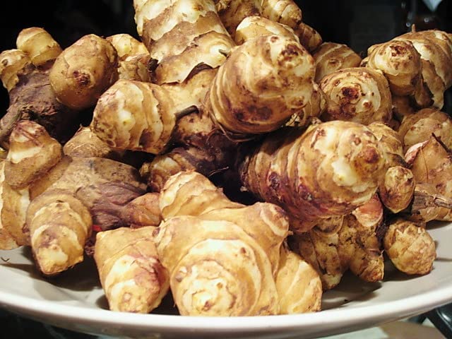 Greenhouse PCA Jerusalem Artichoke Root Fresh Heirloom Sunchokes