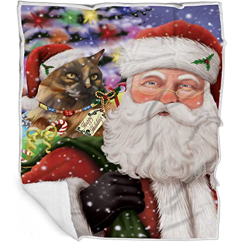 Doggie of the Day Tortoiseshell Cat Blanket - Christmas Santa Carrying Presents - Super Soft & Warm Pet Theme for Sofa or Bed, Warm Fleece, Sherpa or Woven Material, BLNKT160909 (30x40 Fleece)