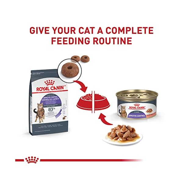 ROYAL CANIN Feline Health Nutrition Spayed/Neutered Appetite Control Dry cat Food, 6-Pound by Royal Canin – Bild 6