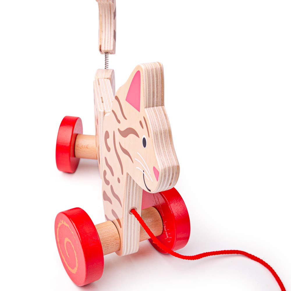 Bigjigs Jouets à traîner (Chat)