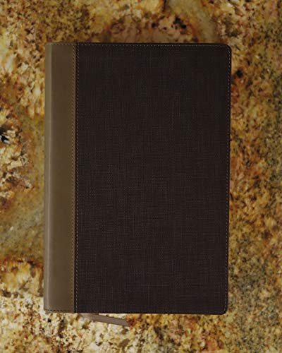 Nrsv, Cultural Backgrounds Study Bible, Leathersoft, Tan/Brown, Comfort Print: Bringing To Life The Ancient World Of Scripture #TOP7