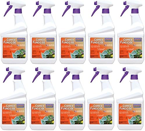 Bonide Copper Fungicide Rtu Natural 1 Qt
