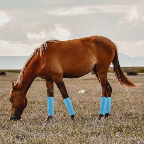 Botas de malla para caballos transpirables con envolturas protectoras contra insectos 3