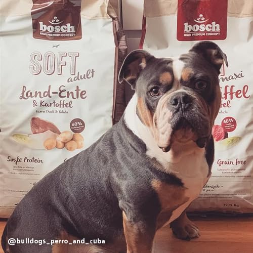 bosch HPC SOFT Maxi Wasserbüffel & Süßkartoffel | halbfeuchtes Hundefutter für ausgewachsene Hunde großer Rassen | Single Protein | grain-free | 1 x 12.5 kg