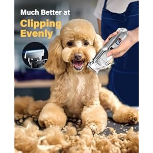   oneisall-Dog-Grooming-Kit-for-Heavy-Thick-HairCoatsLow-Noise-Rechargeable-Cordless-Pet-Shaver-with-Stainless-Steel-Blade-and-Dog-Paw-TrimmerWaterproof-Dog-Shaver-for-Dogs-Pets-Animals