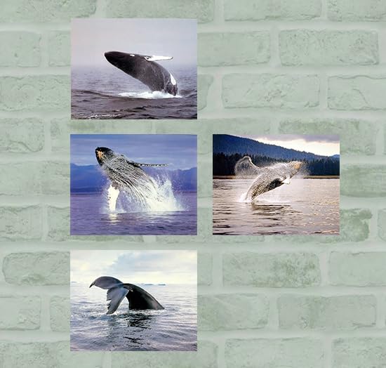 Amazon.com: Impact Posters Gallery Ocean Wall Decor Humpback Whale