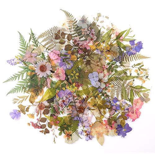 RISYPISY - RISYPISY 160pcs Floral Stickers Vintage Natural Stickers Scrapbook Flower Decorative Stickers for DIY Resin, Bullet Journals for Adults, Children