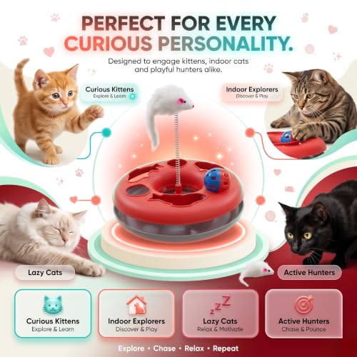 Image of FAB TECH Interactive Cat Toy with Moving Ball & Spring Mouse - 2-in-1 Circle Track Play Toy for Indoor Cats & Kittens - Durable,Fun Pet Toy for Exercise, Hunting & Batting(Color May Vary)