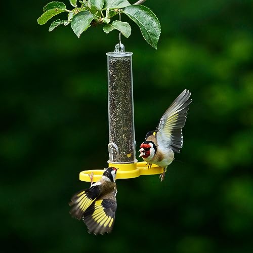 Jacobi Jayne® Pre-filled Niger Bird Feeders for Garden Birds Goldfinch Finder Pack of Two - Image 4