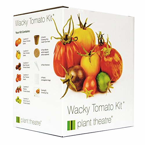 Plant Theatre Kit de tomate loco con 6 variedades extrañas y ...