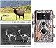 BlazeVideo 2tlg. Wildkamera 48MP 1296P HD Wildtierkamera mit Nachtsicht Bewegungsmelder, IP66 Wasserfest, Unsichtbare Nachtsicht bis zu 75ft/23m, 2,4 LCD Bildshirm