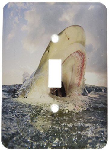 Interrupteur à baïonnette décoratif avec motif de requin des Bahamas