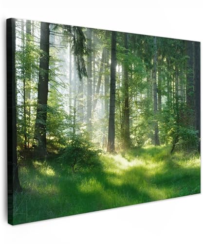 Toile photo forêt verte 40x30 cm MuchoWow pour décoration murale de salon