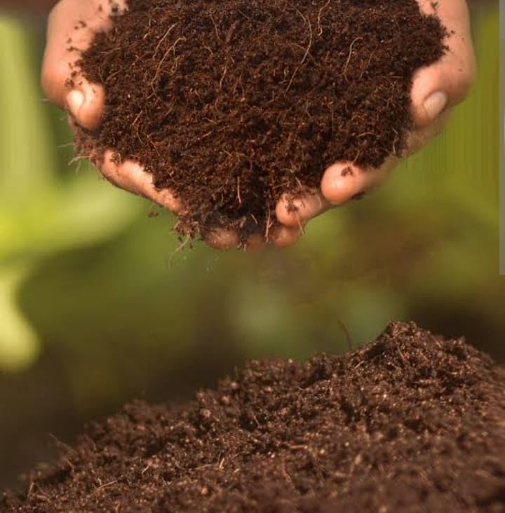 See full amazon price history chart for SND Enterprises Cocopeat Powder for Plants -Indoor and Outdoor Plants | Home and Terrace Gardening | Hydroponic Soil -Loose and Dry | 1 kg Potting Mix and Garden Soil SND Enterprises Cocopeat Powder for Plants -Indoor and Outdoor Plants | Home and Terrace Gardening | Hydroponic Soil -Loose and Dry | 1 kg Potting Mix and Garden Soil (B0CBFLKJ76) Amazon Price History, Amazon Price Tracker