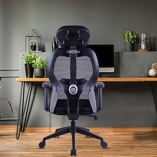 ARKEON Zeus High Back Ergonomic Work from Home Office Chair with ...