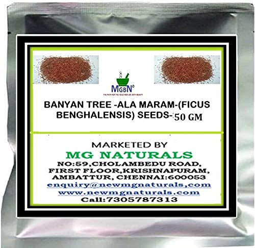 BANYAN TREE -ALA MARAM-(FICUS BENGHALENSIS) SEEDS-50 GM (WITH FREE PLANT SEEDS) (B07K57499V) Amazon Price History, Amazon Price Tracker