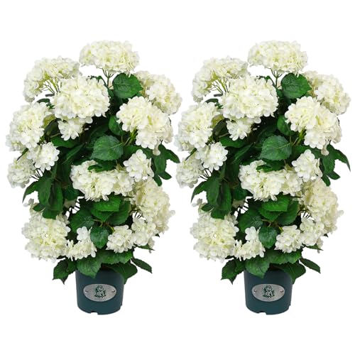 QIANYUN Faux Hydrangea Tree 30 Tall (2 Pack) Artificial Hydrangea Plant in Pot with White Flowers Realistic Hydrangea Tree for Indoor Outdoor Porch Patio Home Decor