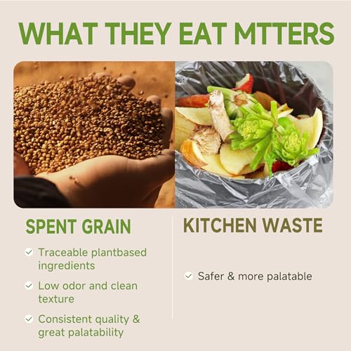 5LB Non-GMO Dried Black Soldier Fly Larvae for Chickens 45% Protein High Calcium Chicken Feed Alternative to Mealworms, Dried BSF Larvae Chicken Treats for Laying Hens Ducks Birds Reptiles - Image 5