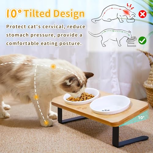 Comesoon CB-W02 Ceramic Elevated Cat Bowls, 10° Tilted Raised Cat Food Bowls For Food And Water, Indoor Cat Dishes With Bamboo Stand Anti Vomiting For Cats And Puppy, Pet Bowl Set thumb #1