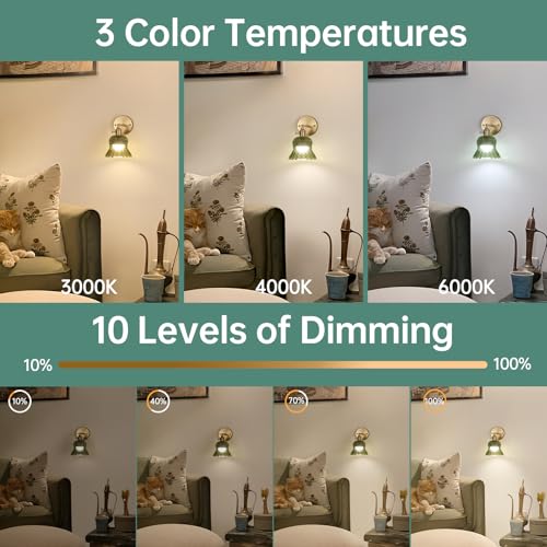 Image of Shenmoyl Vintage Battery Operated Wall Sconces Set of Two, Rechargeable Battery Powered Wall Sconce with Remote Control, Wireless Dimmable LED Light for Bedside Bathroom Living Room (Green Pineapple)