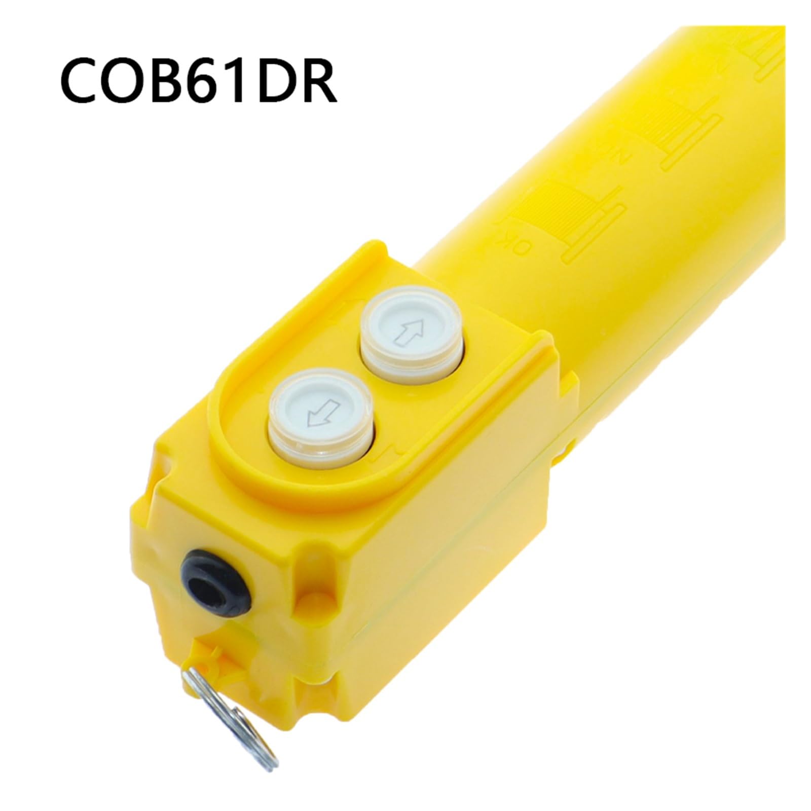 Bouton de commutation haut et bas de palan électrique, commande de grue étanche à la pluie, série COB-61DR, avec condensateur 30UF(COB-61DRH)