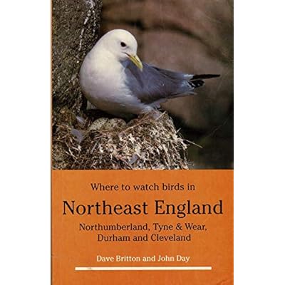 Where to Watch Birds in Northeast England
