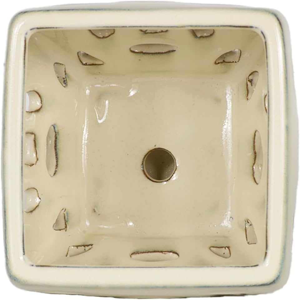 W&W Orchid Pot with Holes and Saucer for Repotting, Cream White, 5.5"