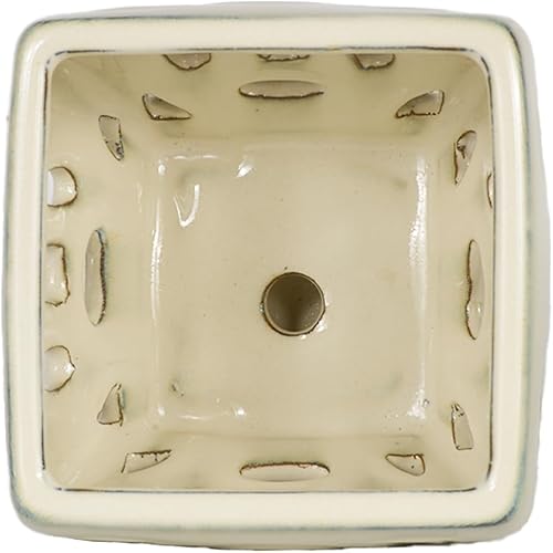 Miniatura 3 de W&W Maceta de orquídeas con agujeros y platillo para trasplantar, color blanco, 5.5 pulgadas