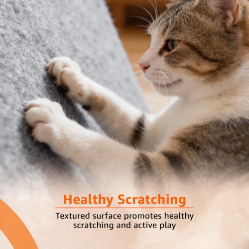 Image of Amazon Basics Cat Scratch Pad | Adhesive Scratching Mat for Cats | Protects Furniture, Walls & Sofa | Cuttable Design with Fixing Nails | Reusable & Easy Care| Grey | 40L x 100W x 1H cm
