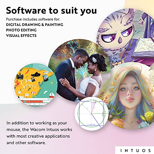 Professional Drawing Tablet with Screen 2K