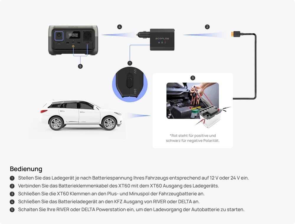 EcoFlow - Batería Inteligente para Coche, Cargador de Coche Inteligente de 12/24 V, Dispositivo de Almacenamiento de batería y desulfatador para AGM, LifePo4, Gel