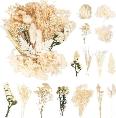 GEHARTY Dried Flowers - White, Small, Mixed, for Crafts, Resin, Cakes & Home Decor