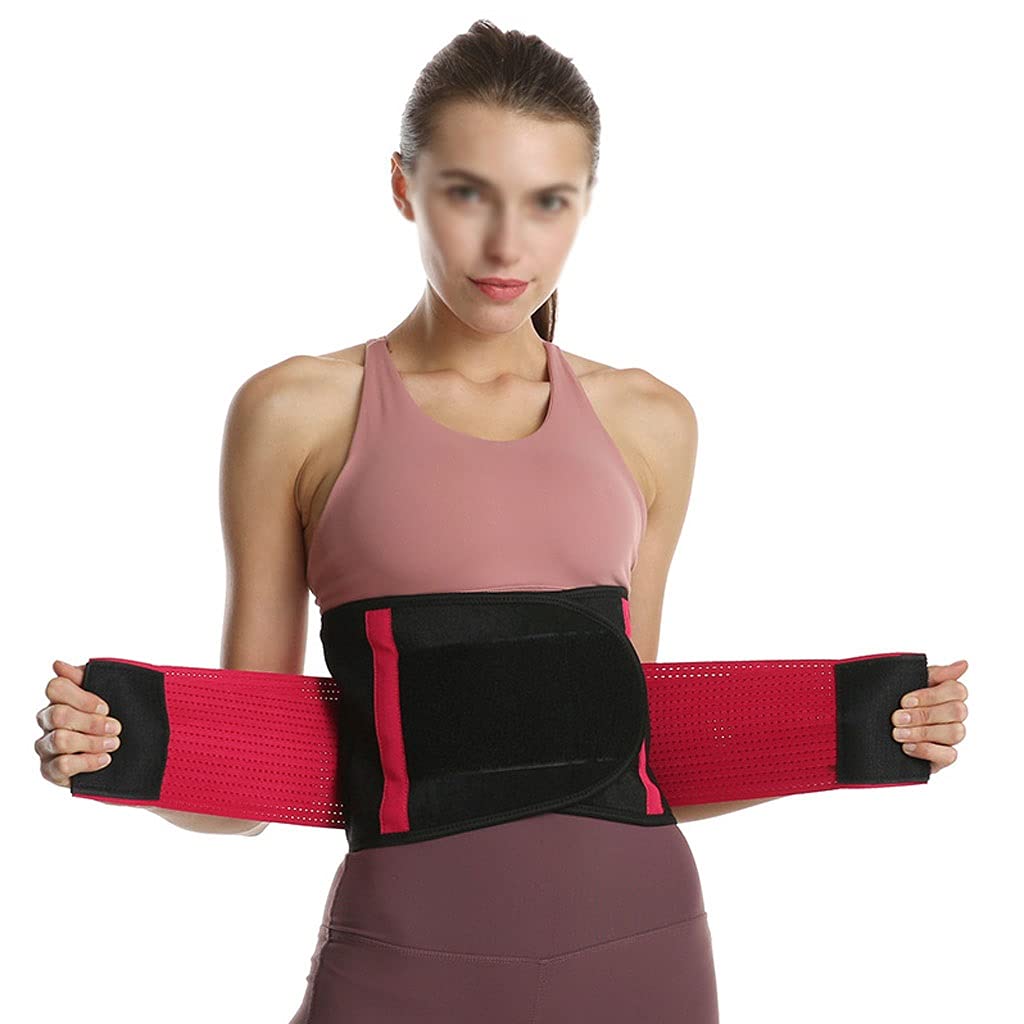 Alivio del cinturón de soporte lumbar para el dolor de espalda, hernia de disco, ciática, escoliosis Diseño de malla transpirable Correas de soporte ajustables Brace para la parte inferior de la