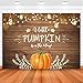 Avezano Little Pumpkin Baby Shower Backdrop Orange Pumpkin Patch Baby Shower Background Autumn Fall Rustic Boy Girl Sprinkle Baby Shower Backdrops Decorations 7x5ft