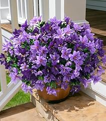 Dark Purple + Purple