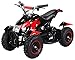Actionbikes Motors Mini Kinder Elektro Quad ATV Cobra 𝟴𝟬𝟬 Watt 36 V Pocket Quad - Original Saftey Touch - Kinder E Bike (Schwarz/Rot)